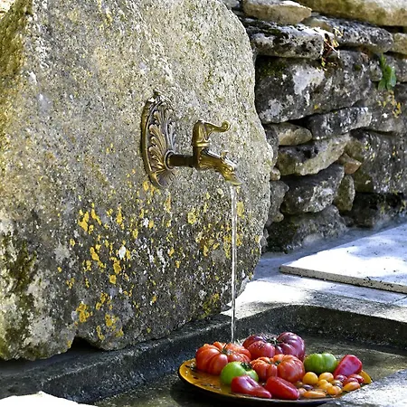 Villa La Borie Oubliee